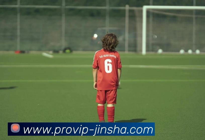 澳门金沙官网APP 封面图